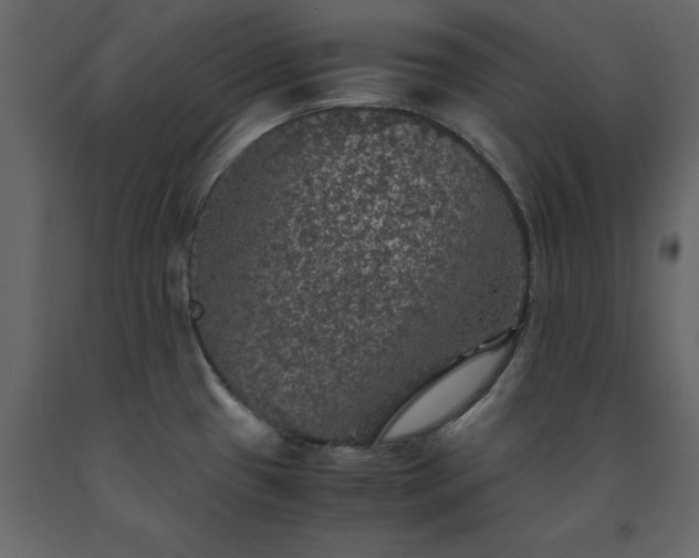 X0000091551433200708241746