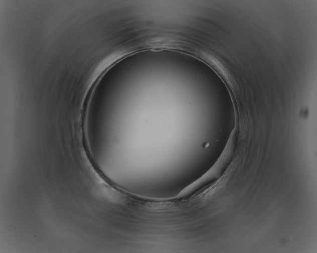 X0000091551434200708241746