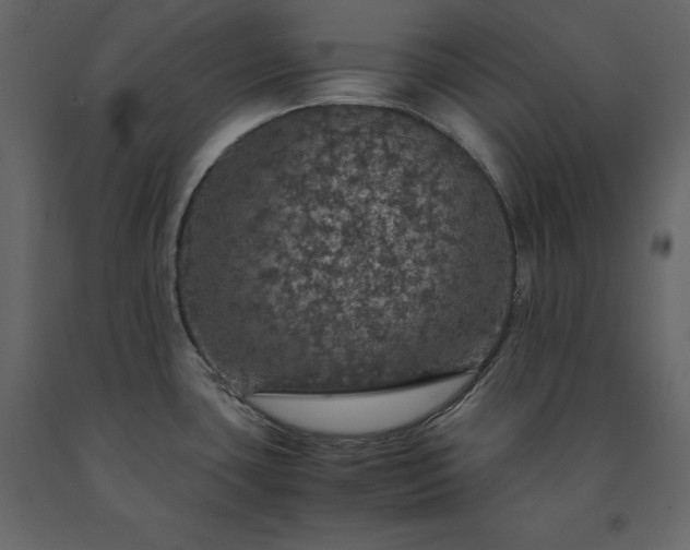 X0000091551435200708241746