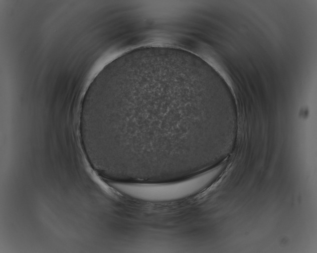 X0000091551437200708241746