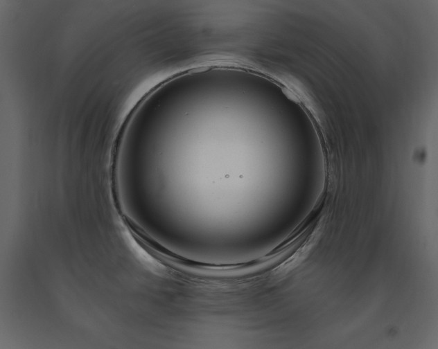 X0000091551438200708241746