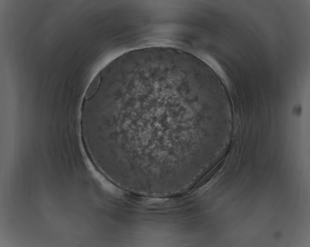 X0000091551439200708241746