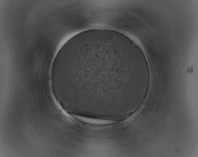 X0000091551440200708241746