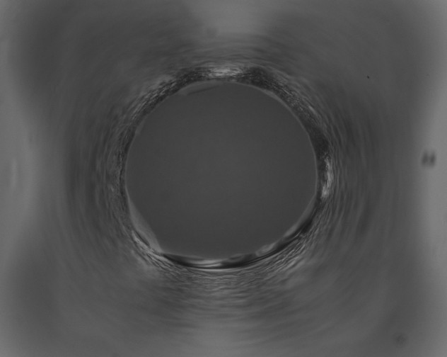 X0000091551441200708241745