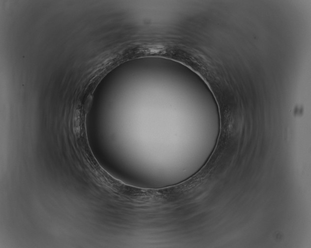 X0000091551442200708241745