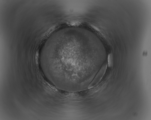 X0000091551443200708241745