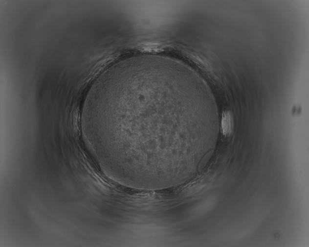 X0000091551444200708241745