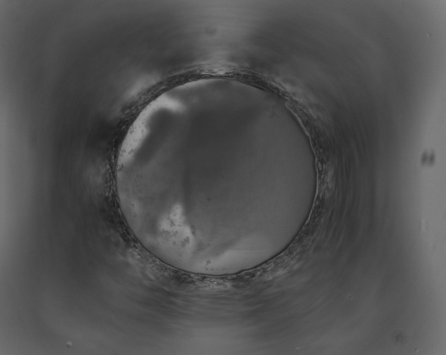X0000091551446200708241745