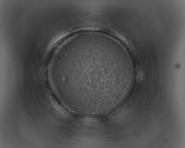 X0000091551448200708241745