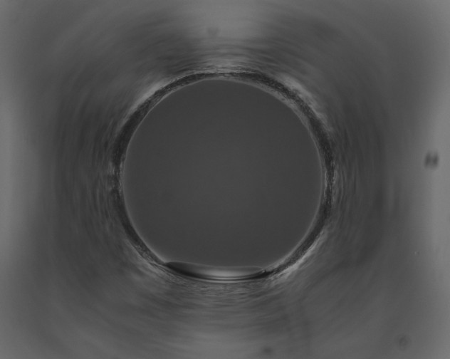 X0000091551449200708241745