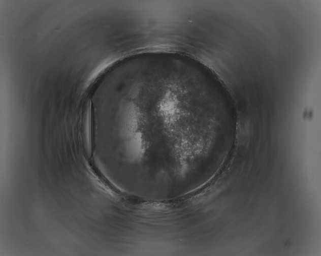 X0000091551450200708241745