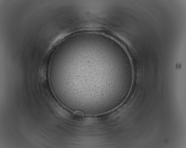 X0000091551451200708241745
