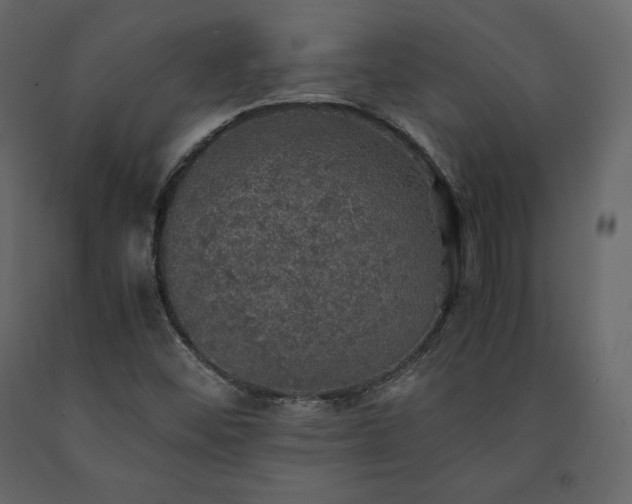 X0000091551452200708241745