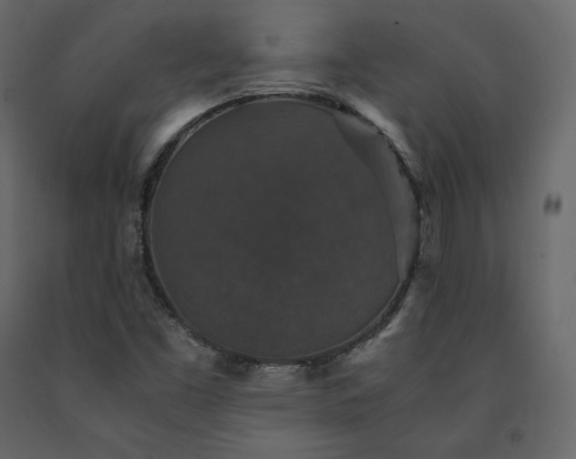 X0000091551453200708241745
