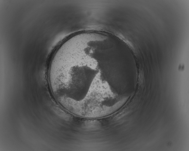 X0000091551454200708241745