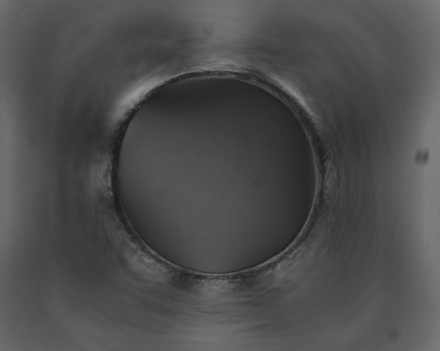 X0000091551455200708241745