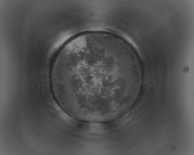 X0000091551456200708241745