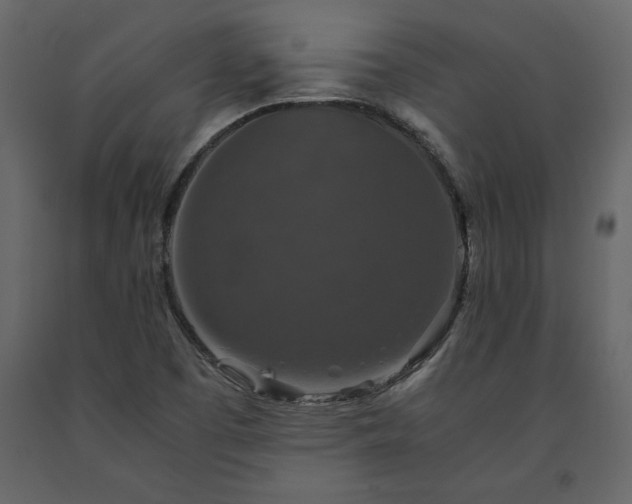 X0000091551457200708241745