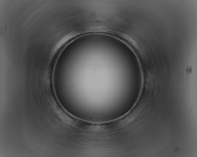 X0000091551458200708241745
