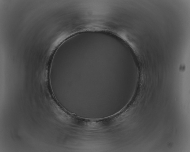 X0000091551459200708241745