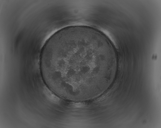 X0000091551460200708241745