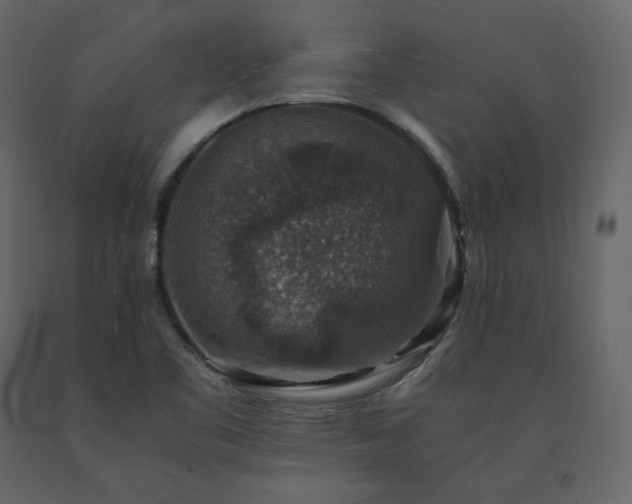 X0000091551461200708241745