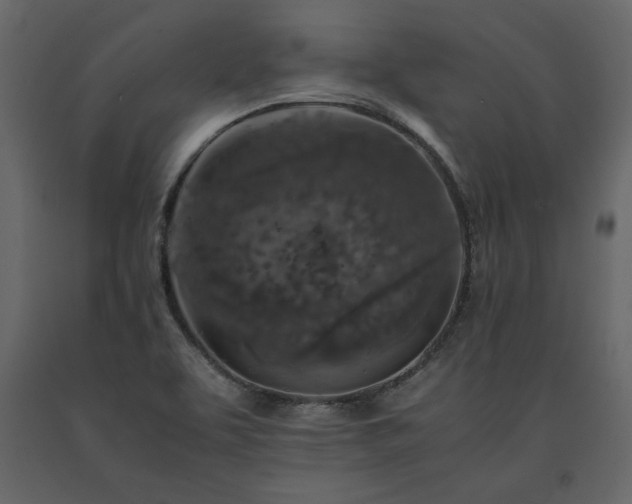 X0000091551463200708241745