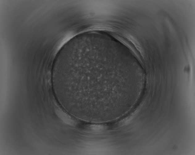 X0000091551465200708241745