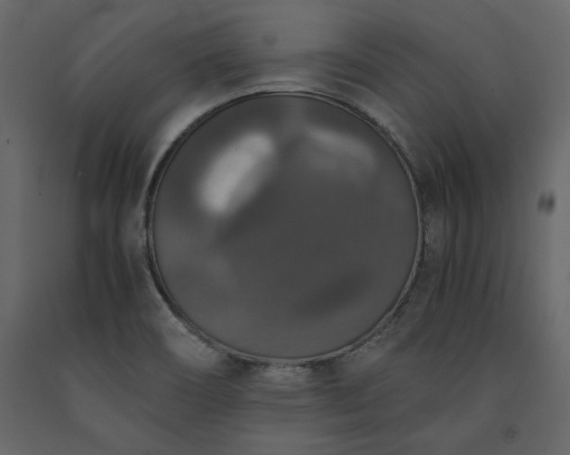 X0000091551466200708241745