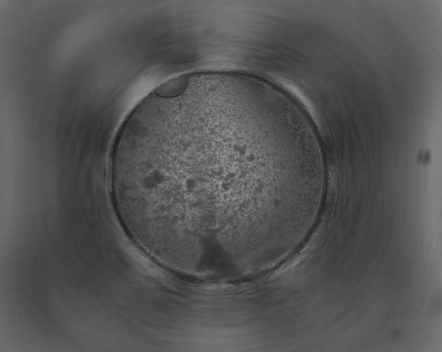 X0000091551467200708241745
