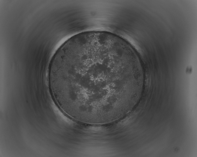 X0000091551468200708241745