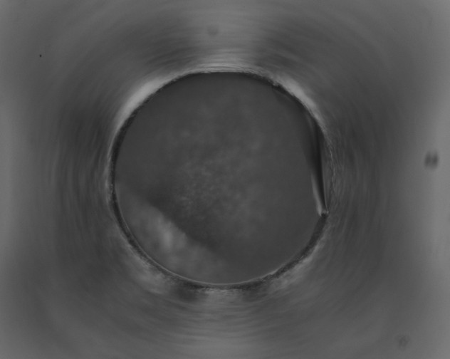 X0000091551469200708241745