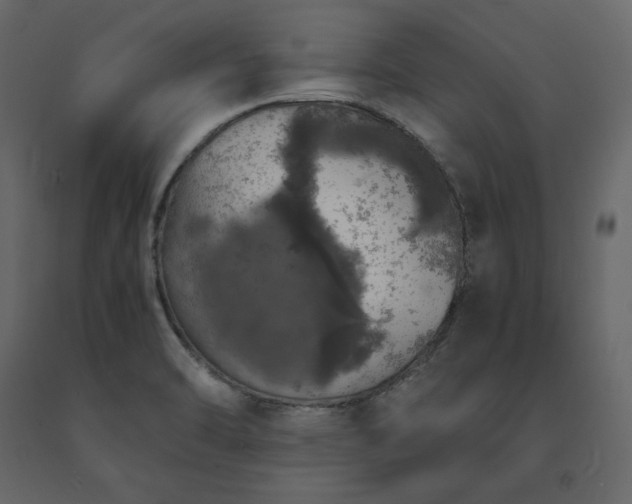 X0000091551470200708241745
