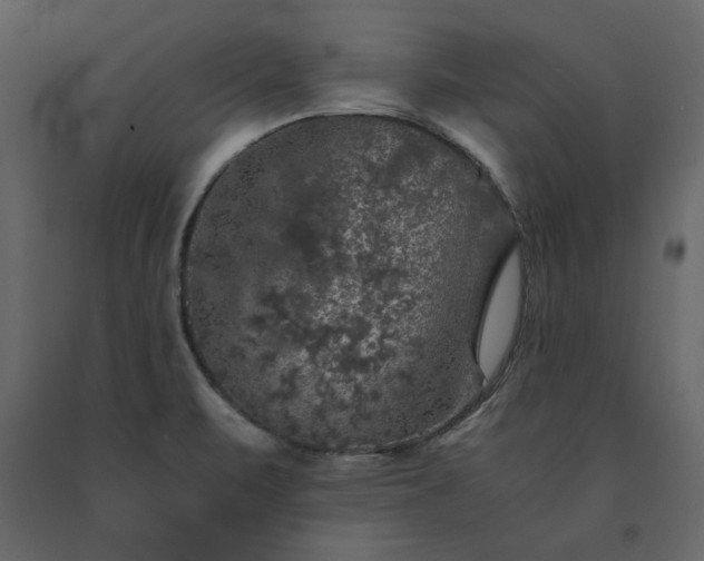 X0000091551471200708241745