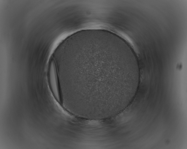 X0000091551472200708241745