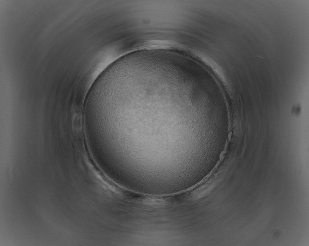 X0000091551473200708241745