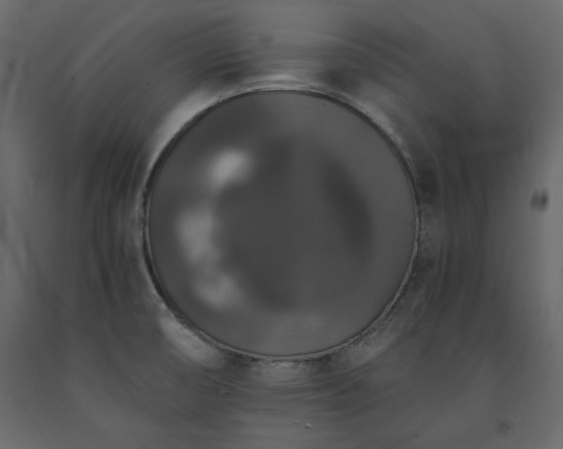 X0000091551474200708241745