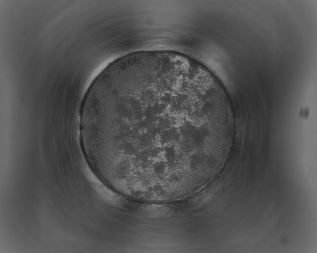 X0000091551476200708241745