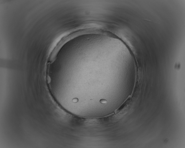 X0000091551477200708241745