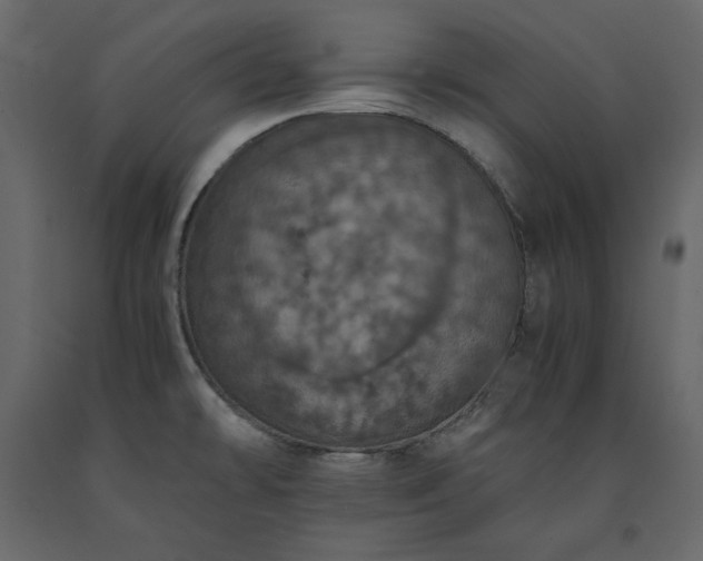 X0000091551478200708241745