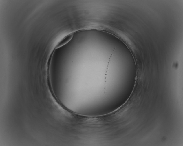 X0000091551479200708241745