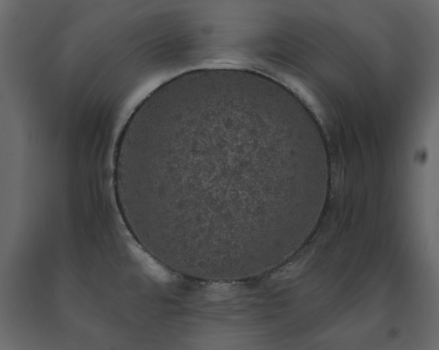 X0000091551480200708241745