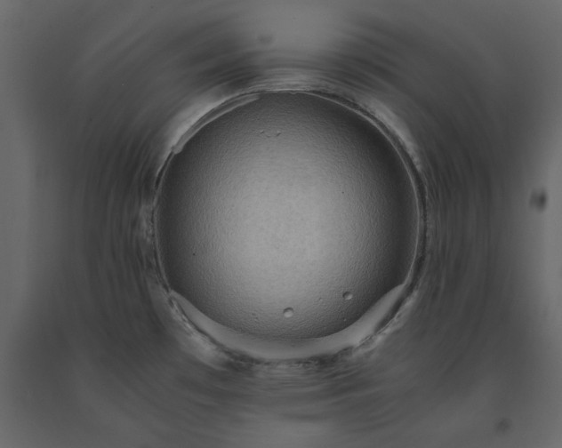 X0000091551481200708241745