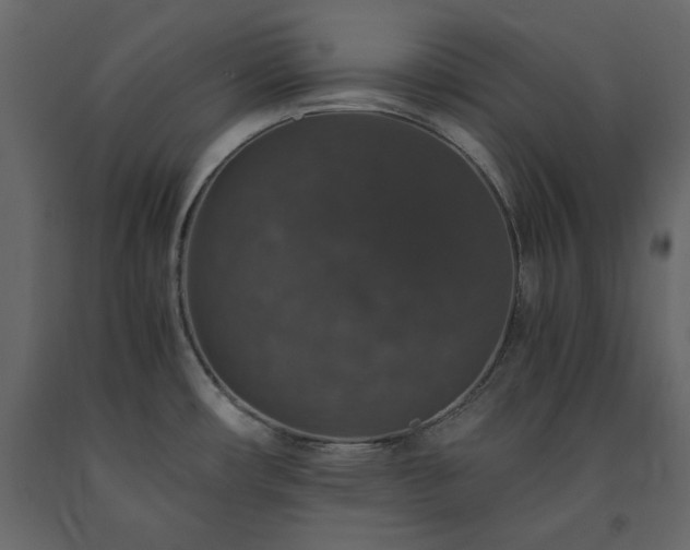 X0000091551482200708241745