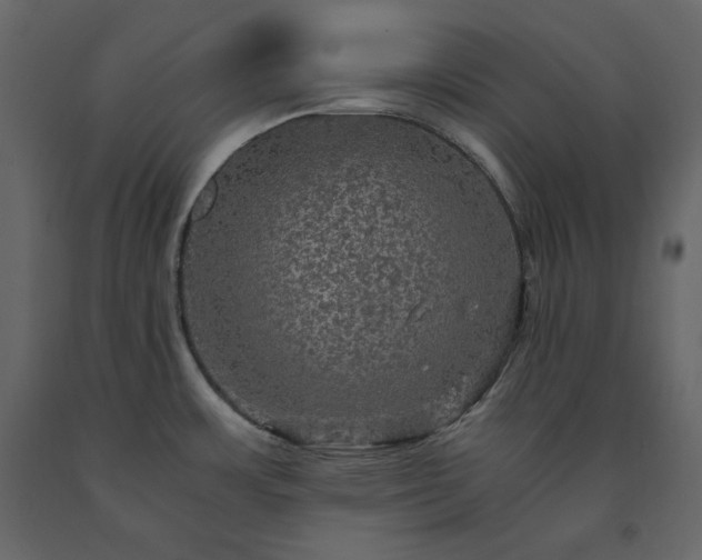 X0000091551483200708241745