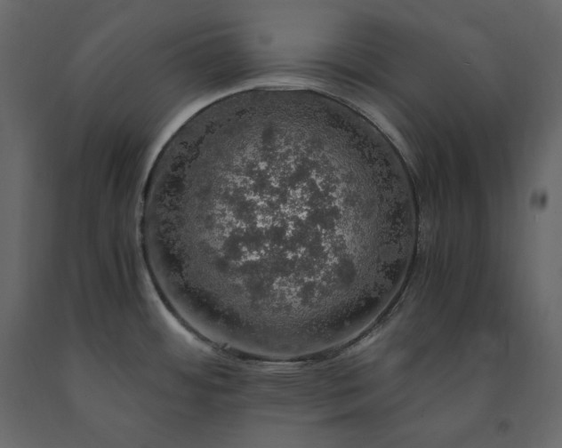 X0000091551484200708241745