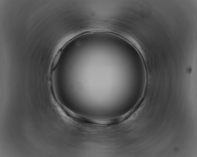 X0000091551485200708241745