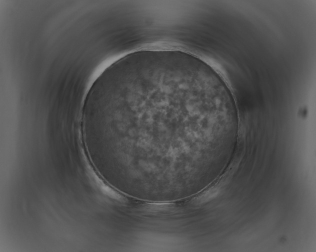 X0000091551486200708241744