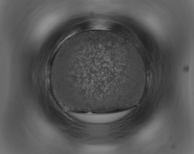 X0000091551487200708241744