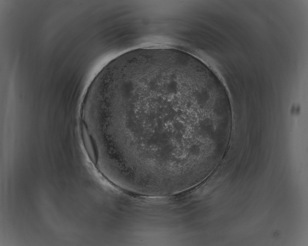 X0000091551488200708241744